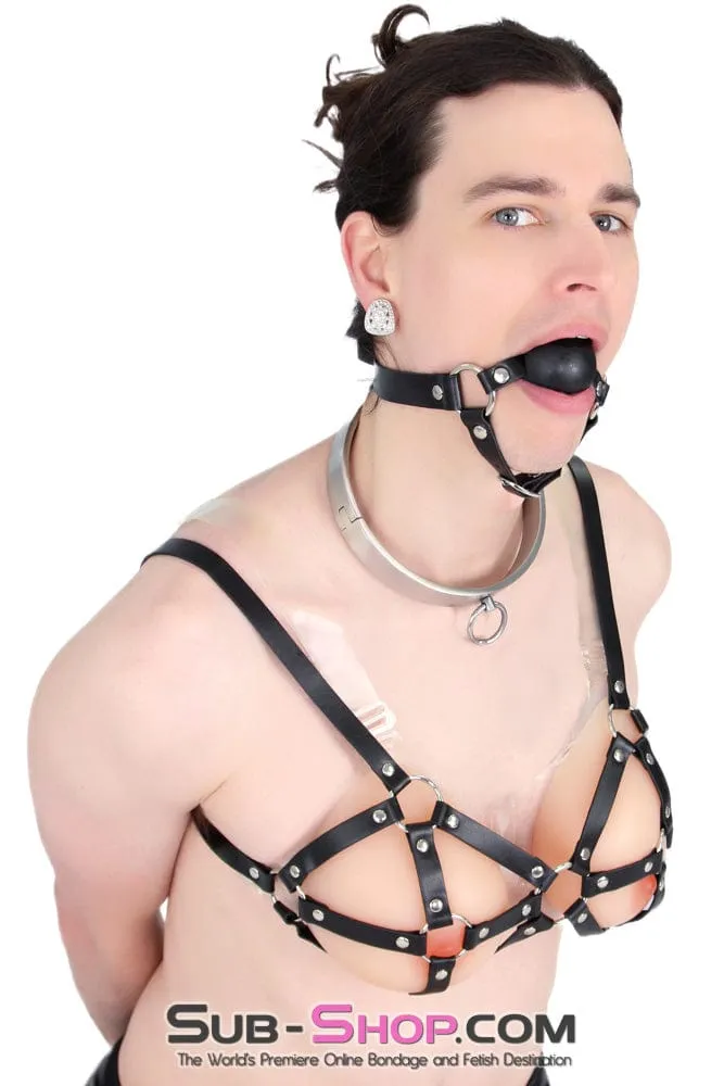 0634AR-SIS      Stainless Steel Lock Domme and Keys Sissy Boi Bondage Slave Collar