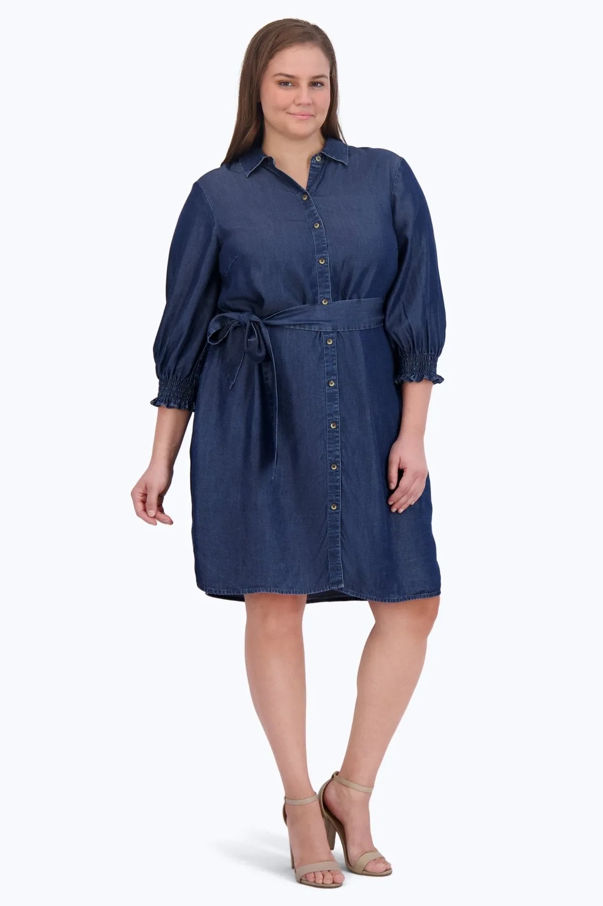 Abby Plus Tencel Dress