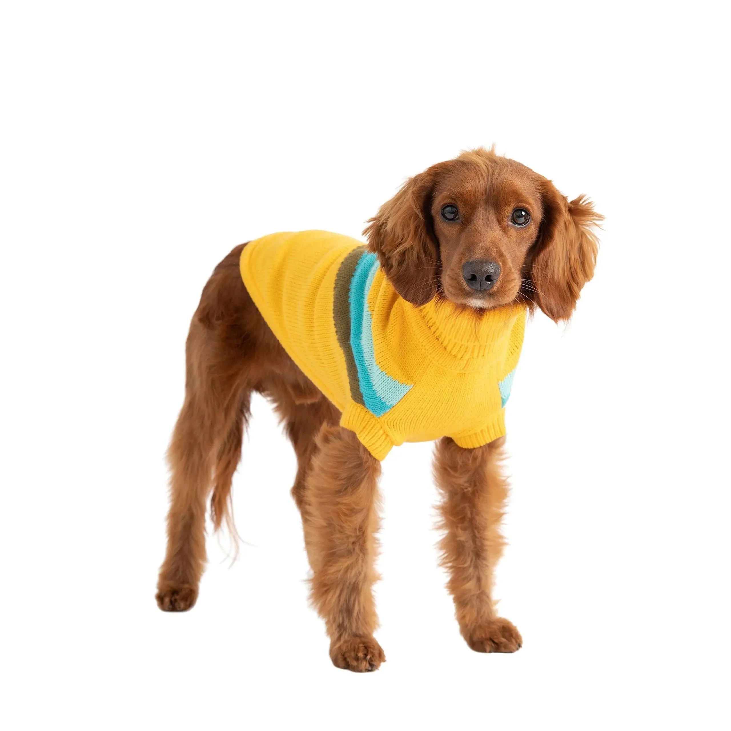 Alpine Dog Sweater - Yellow