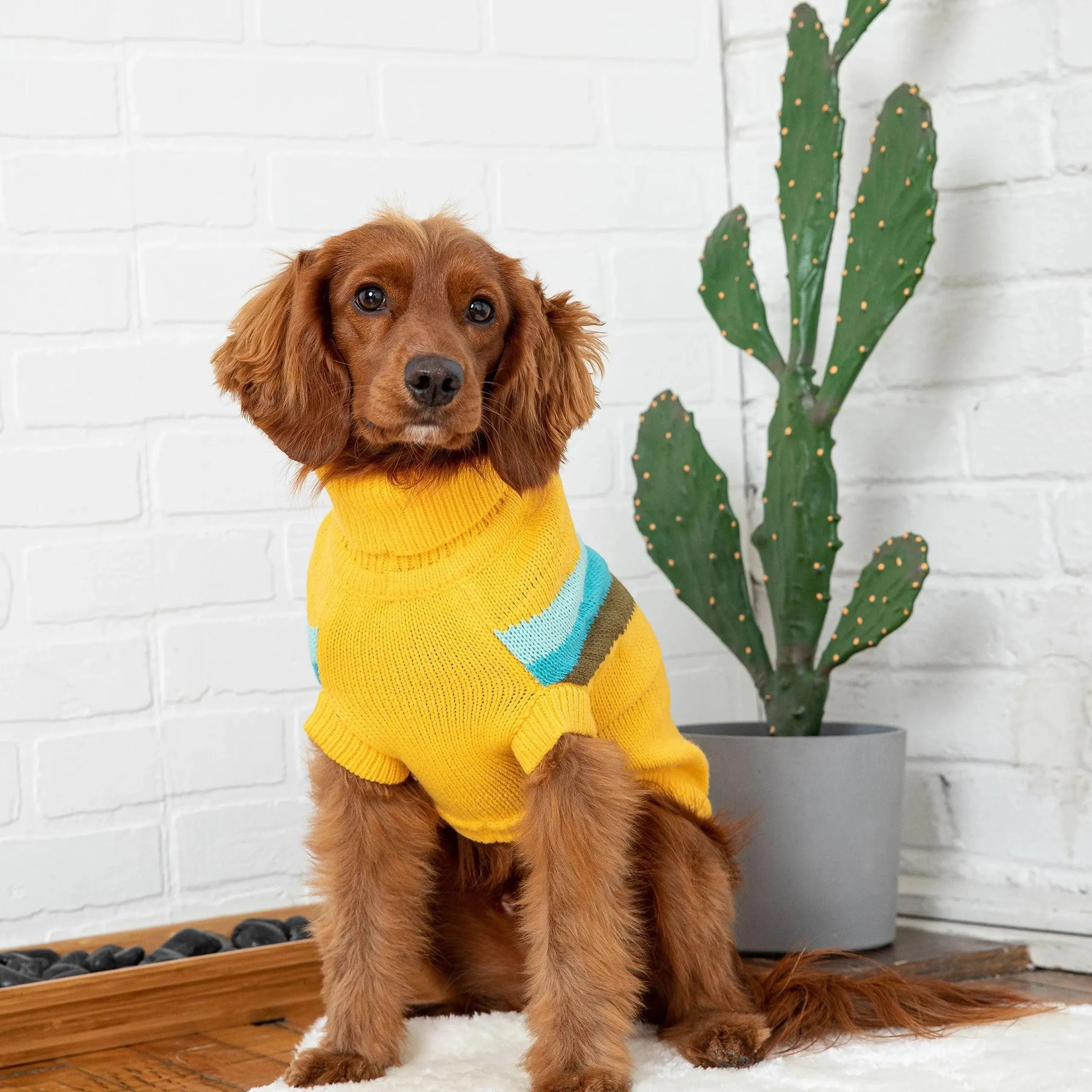 Alpine Dog Sweater - Yellow