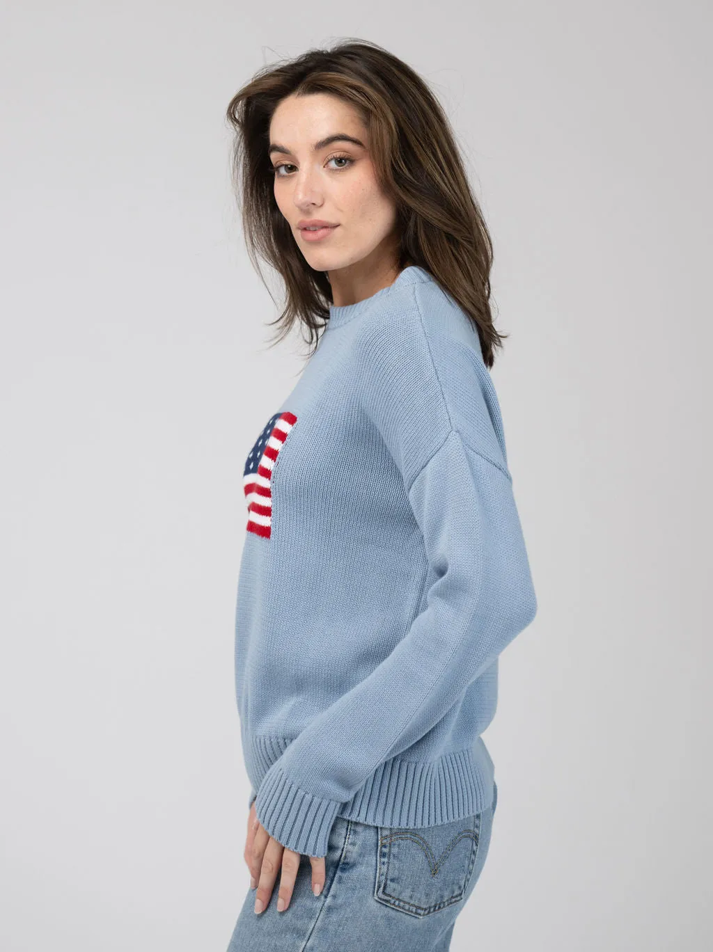 American Flag Sweater in Light Blue