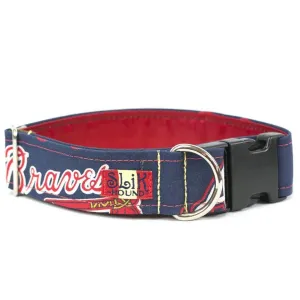 ATLANTA BRAVES THEMED