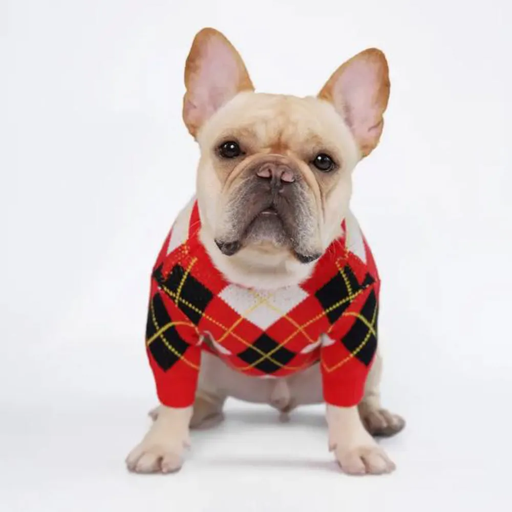 BarkBerry Frenchie Adorable Red Plaid Knitted Sweater