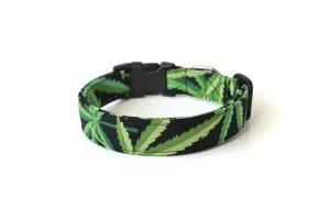 Black & Green Pot Leaves Dog Collar