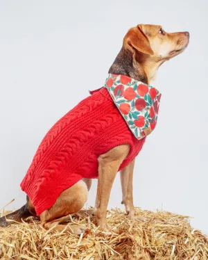 Classic Cable Dog Turtleneck Sweater in Red (FINAL SALE)