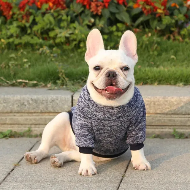 Classic Warm Dog Sweater