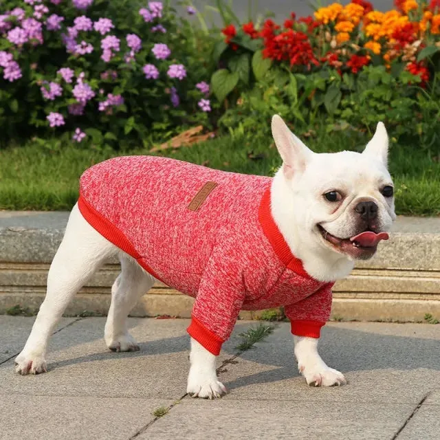 Classic Warm Dog Sweater