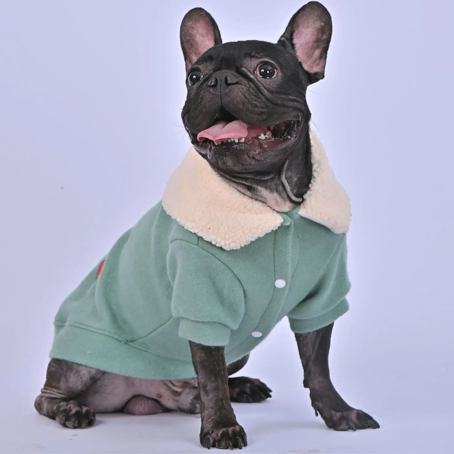 Clothsy™ - French Bulldog Warm Sweater (WL02)