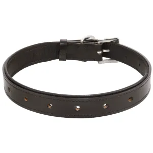 Collar - Black