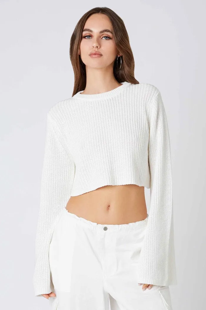 Cropped Flare Sleeve Sweater