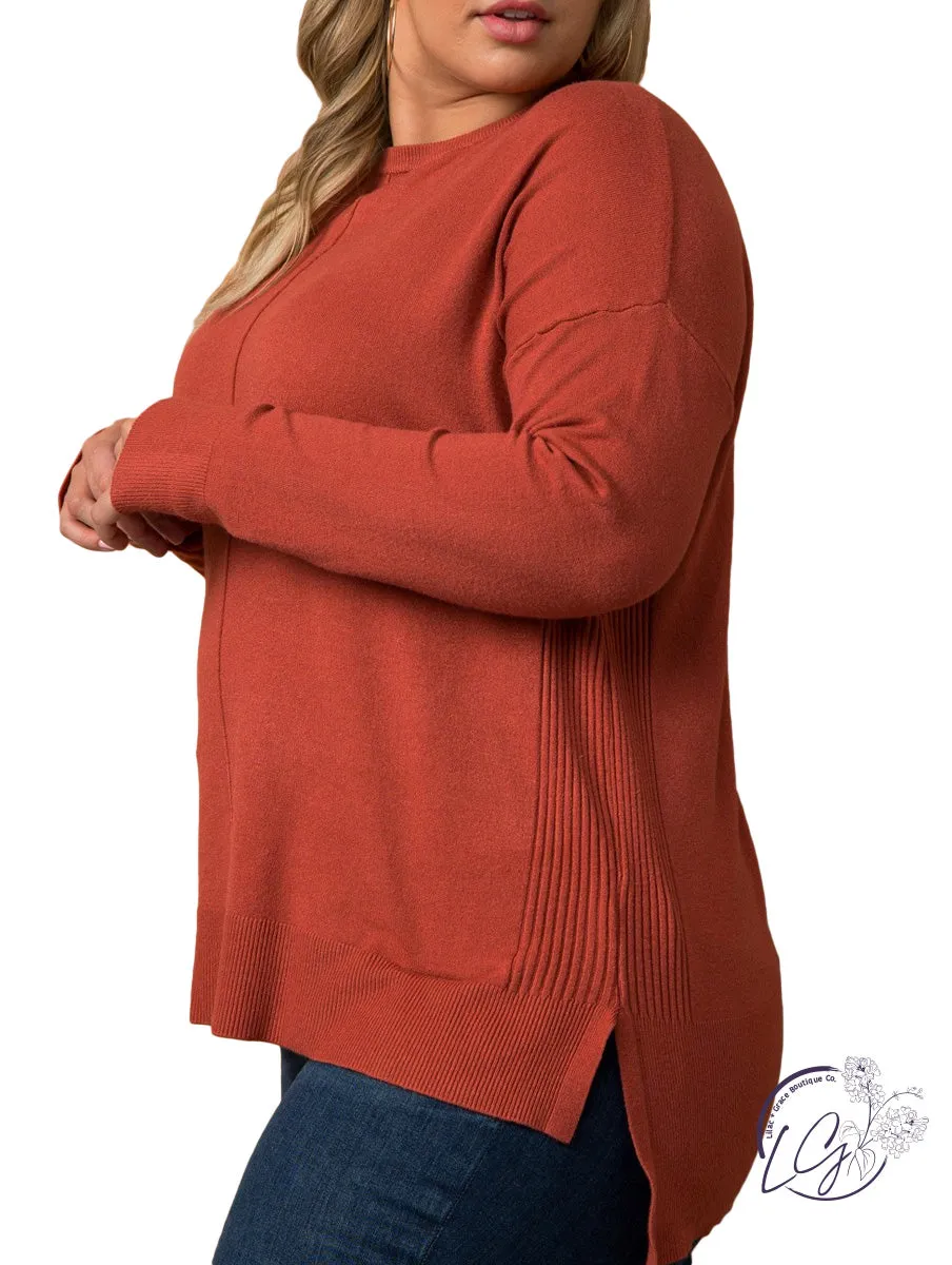 Curvy Point of View Knit Sweater