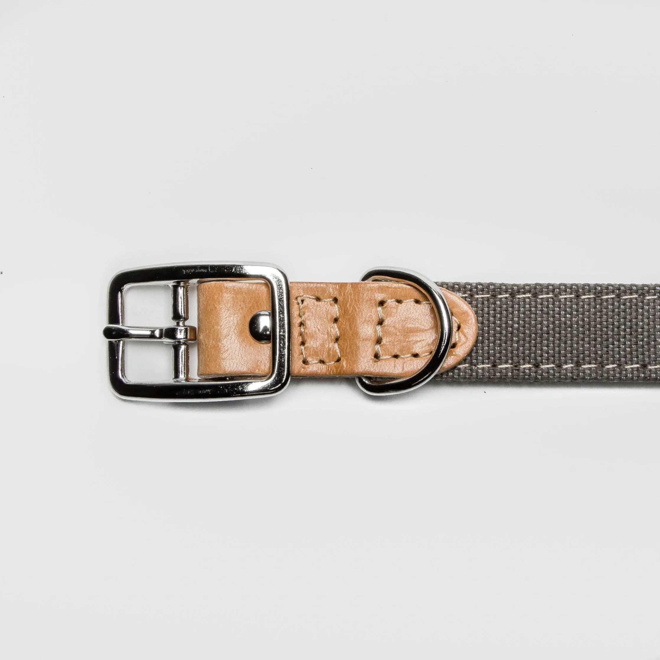 Dog Collar Tivoli