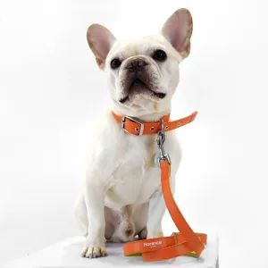 Florence by Mills Appleskin Dog Leash