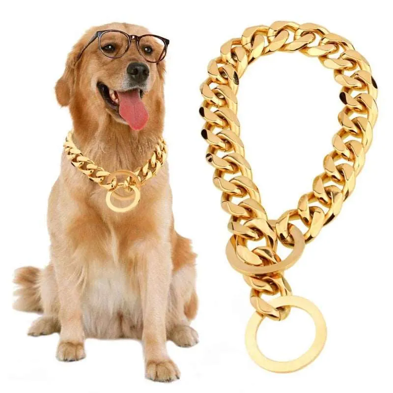 Gold Chain Dog Collar - Stylish & Durable Pet Accessory