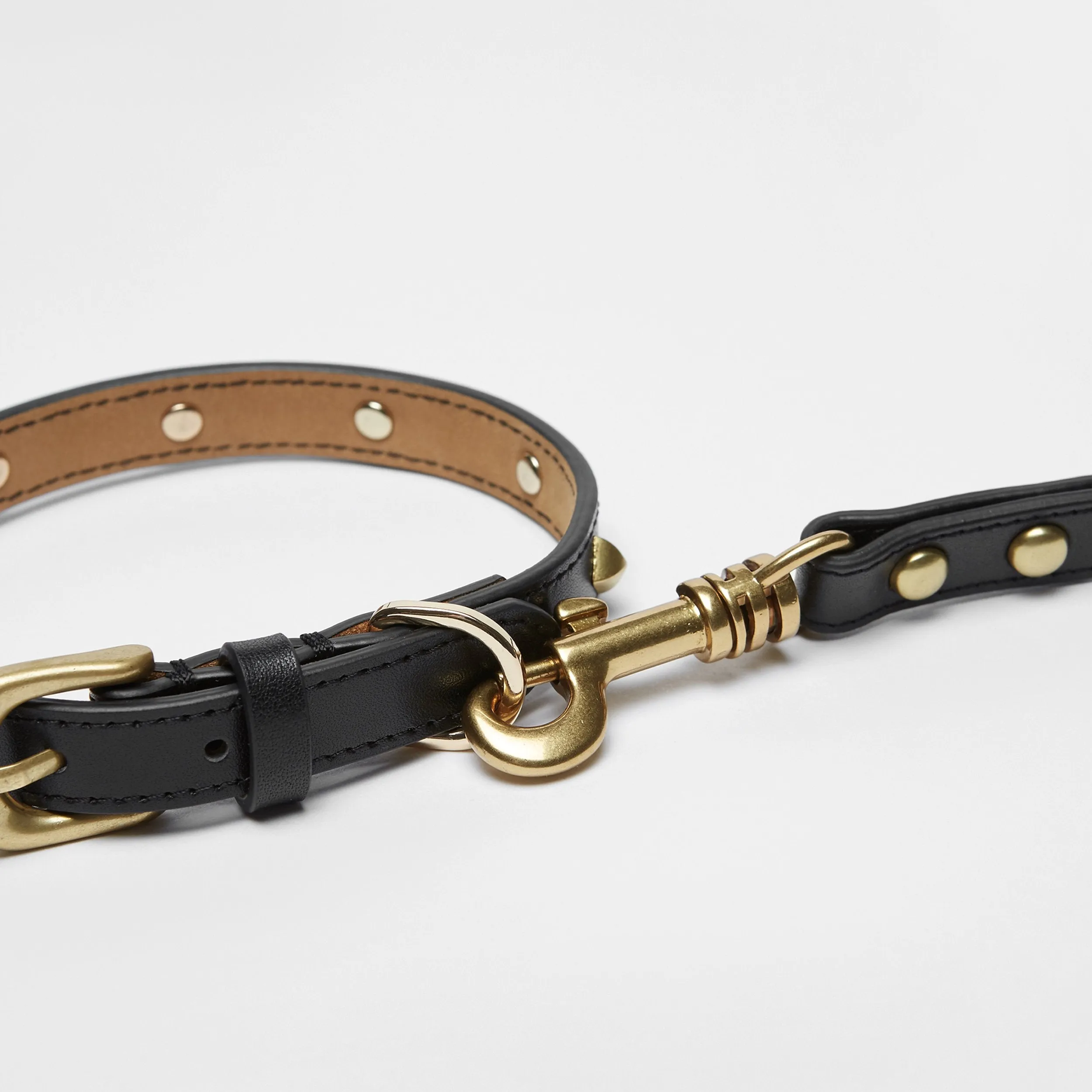 Golden Rivet Leather Collar (Black)