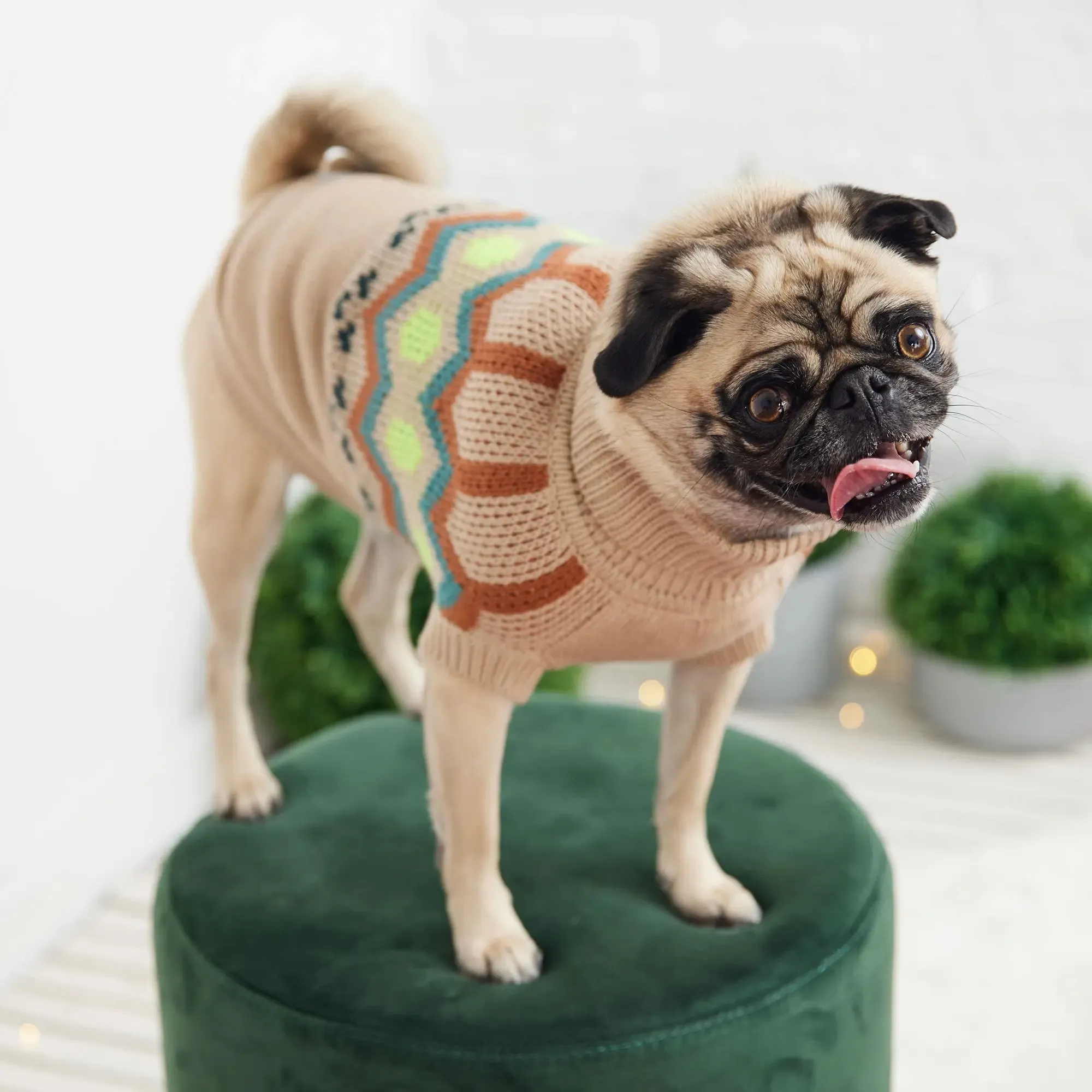 Heritage Dog Sweater | Sand