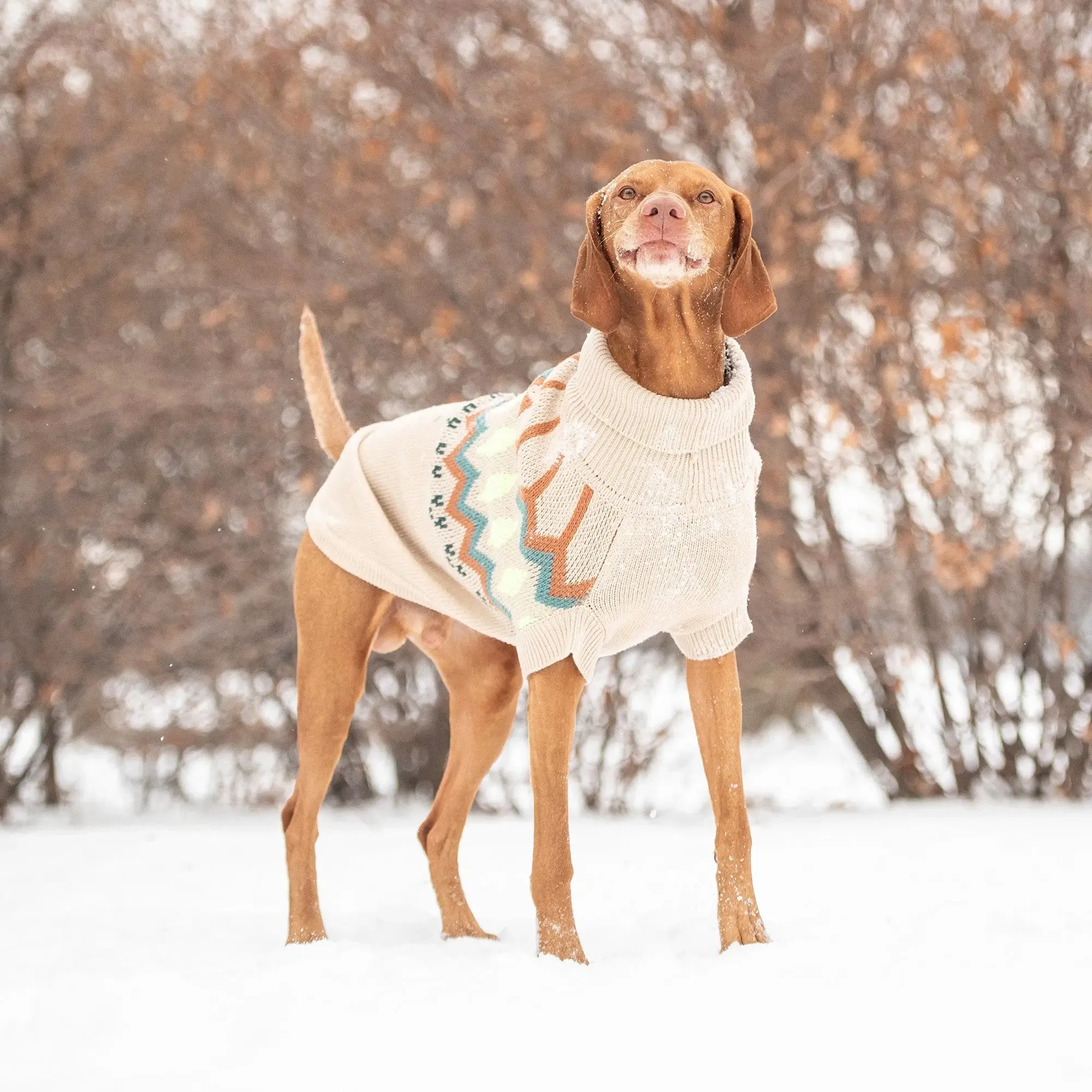 Heritage Dog Sweater | Sand