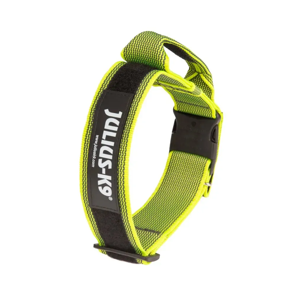 Julius-K9 Color & Gray® Collar with Handle, Safety Lock and Interchangeable Patch