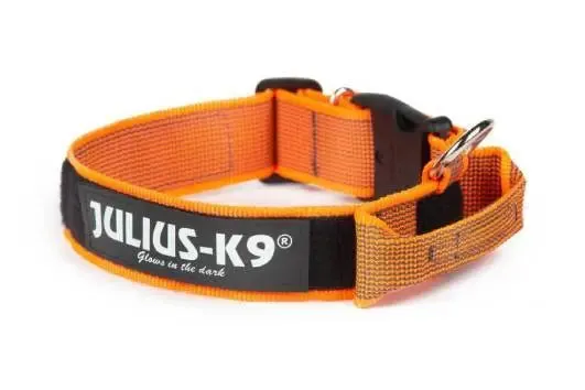 Julius-K9 Color & Gray® Collar with Handle, Safety Lock and Interchangeable Patch