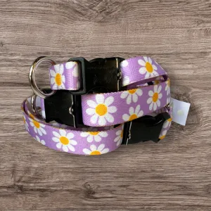 Lavender Daisy Collar