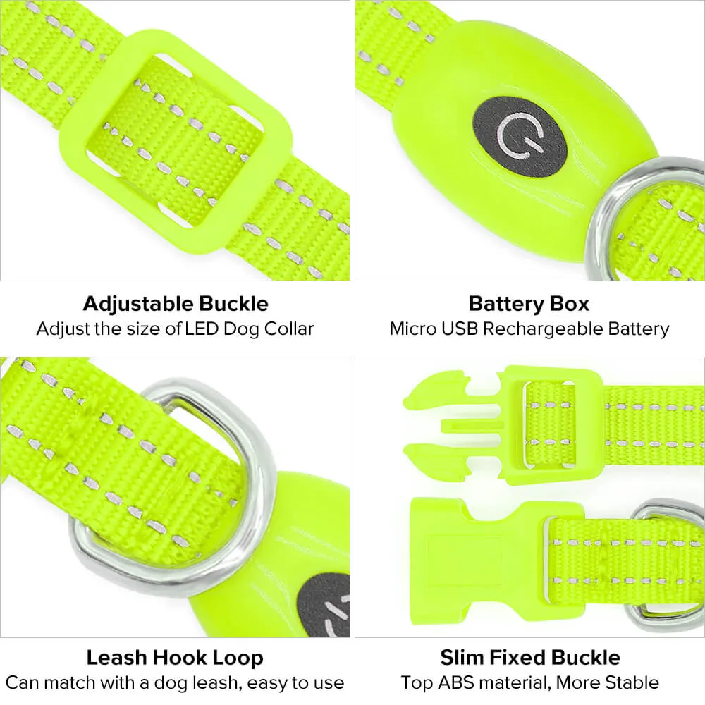 LED Dog Collar for Small Dogs and Cats