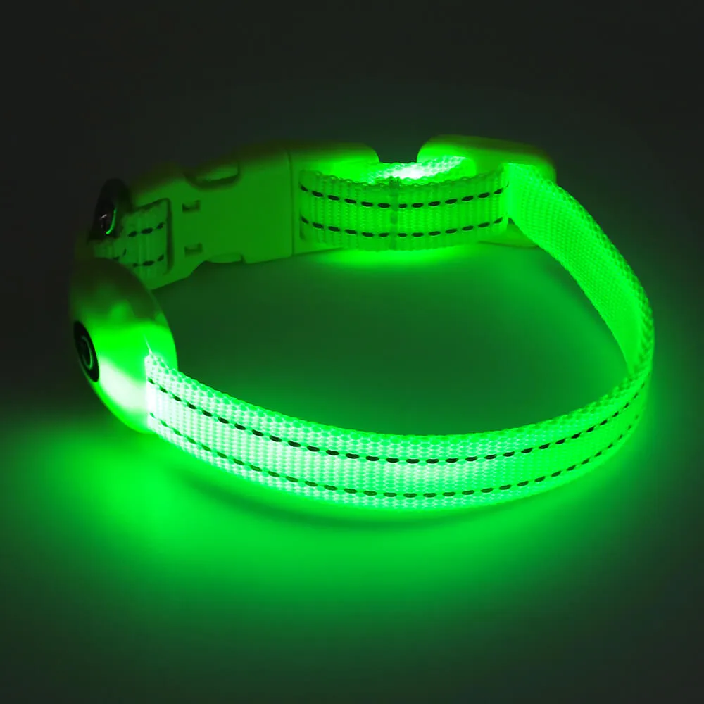 LED Dog Collar for Small Dogs and Cats