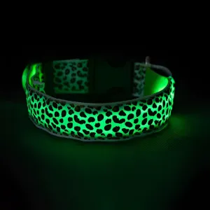 LED Dog Collar