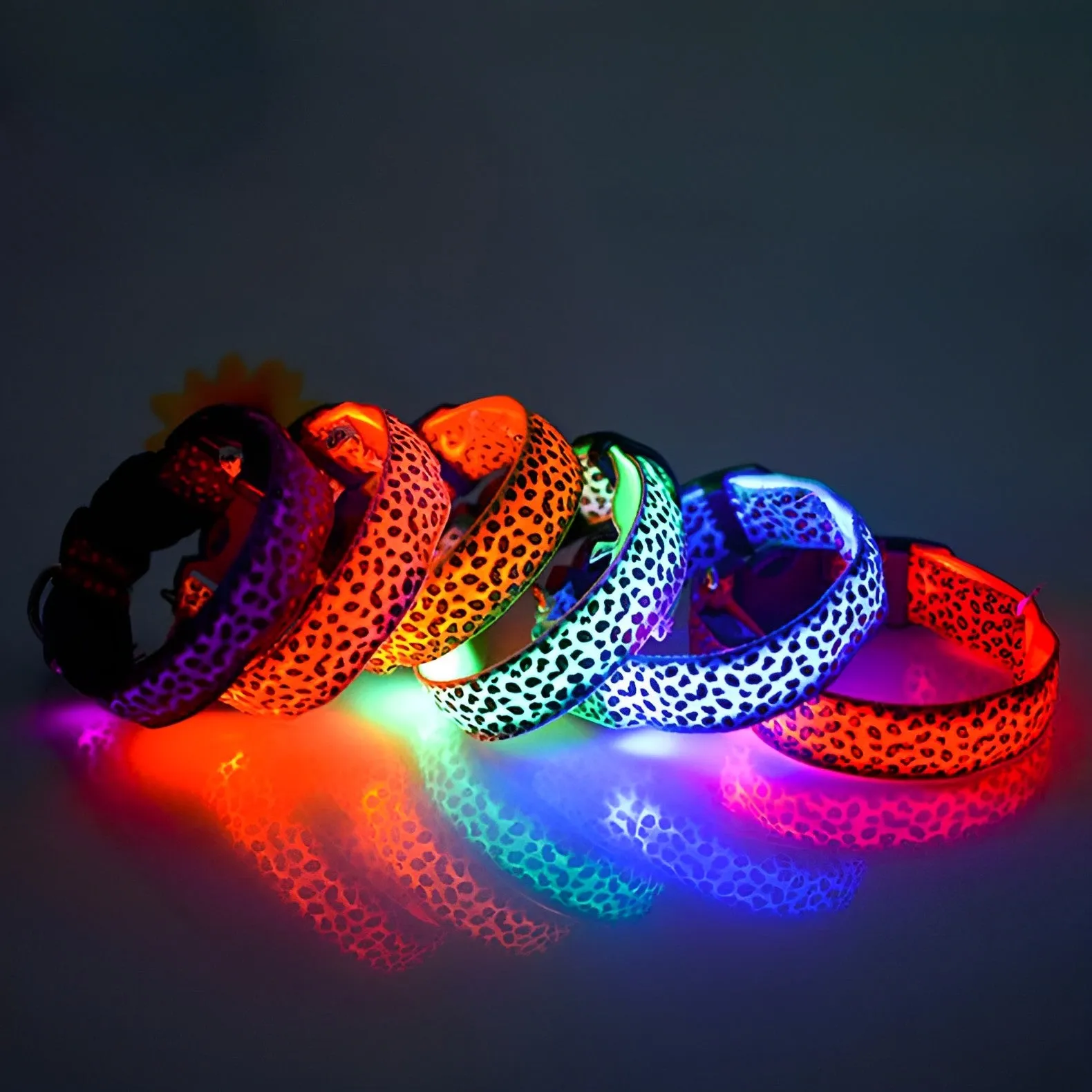 LED Dog Collar