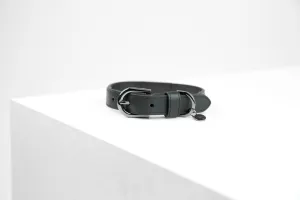 MaxBone Jet Black Dog Collar