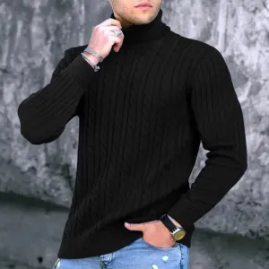 Men  Solid Color Turtleneck Long Sleeve High Neck Basic Sweater