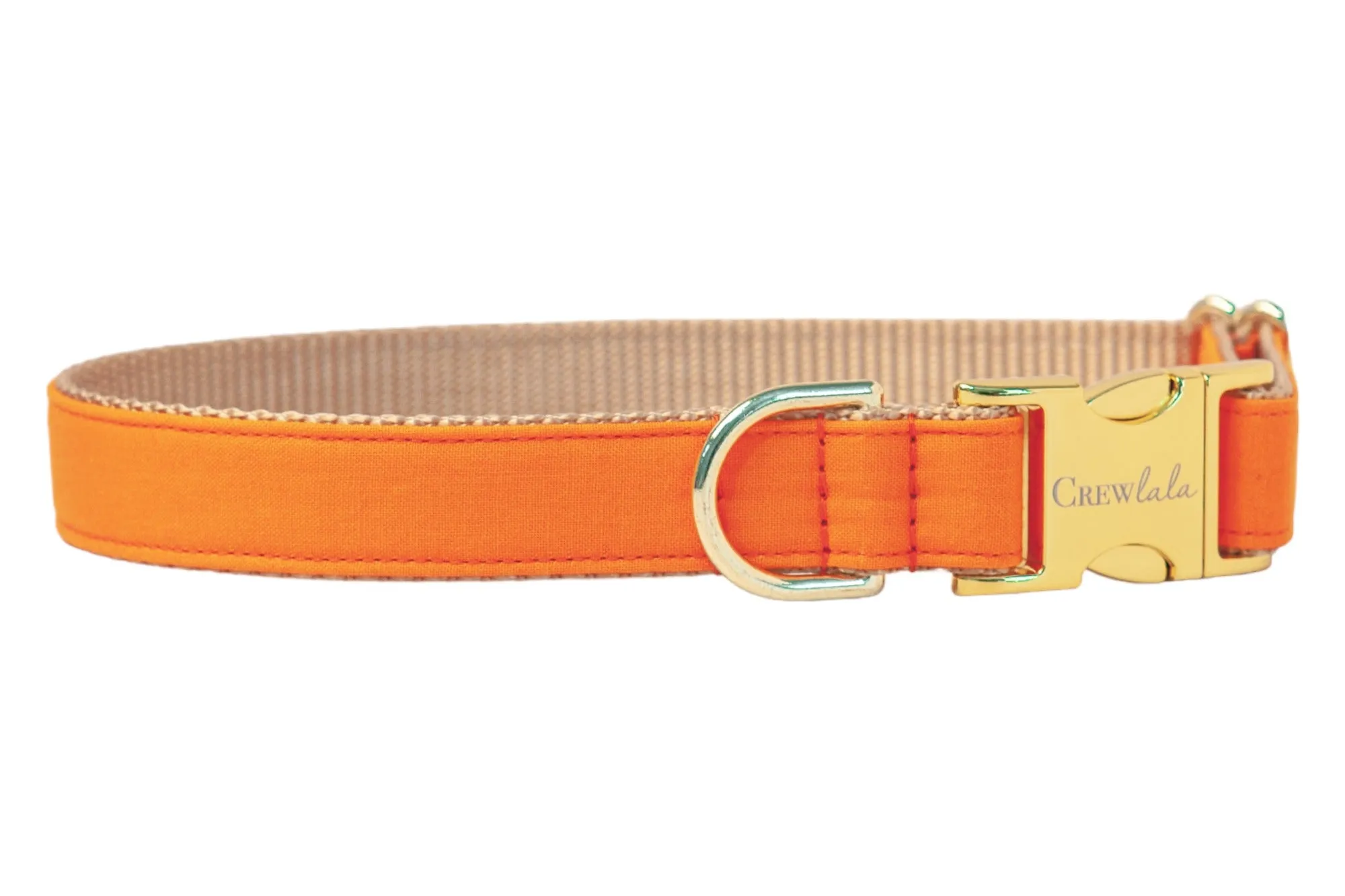 Orange Dog Collar