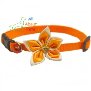 Orange Nylon Collar with Flower for Cats & Small Dogs