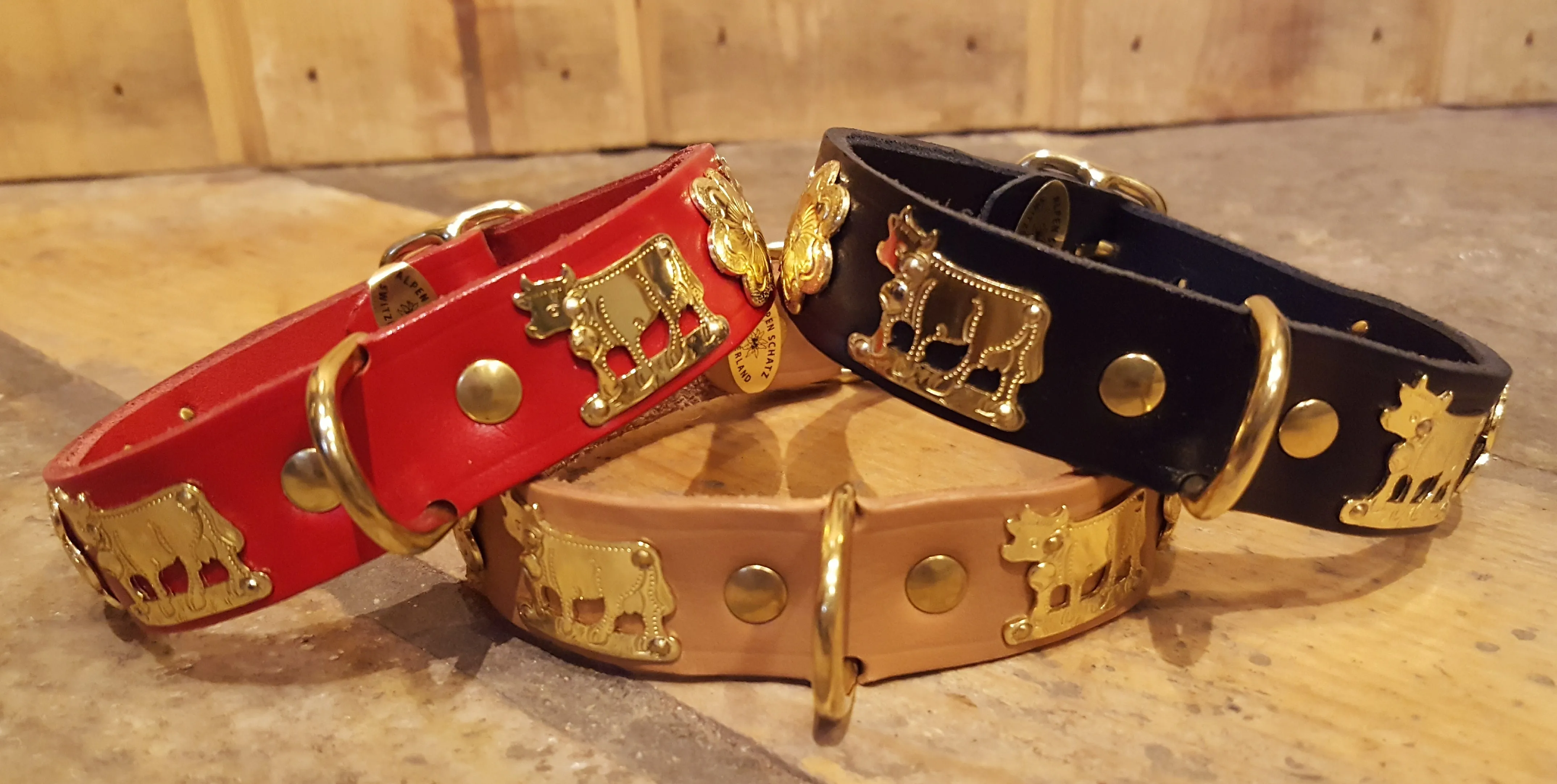 Overstock Sale! 1" Small Contemporary Swiss Dog Collar