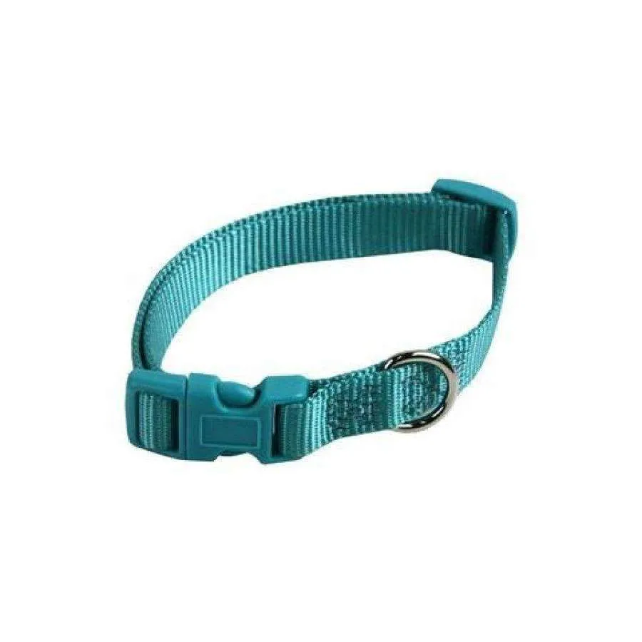 Papillon Nylon Collar Adjustable, 15 mm x 33-40 cm, Turquoise