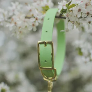 Pastel Green Biothane Collar