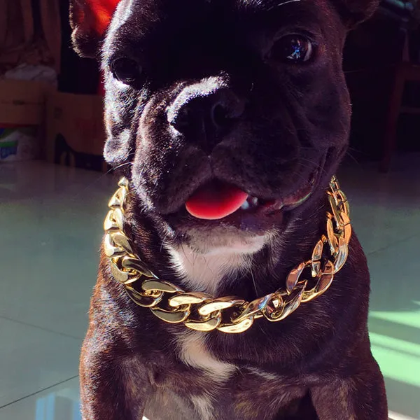 Pet Cuban Link Necklace Collar