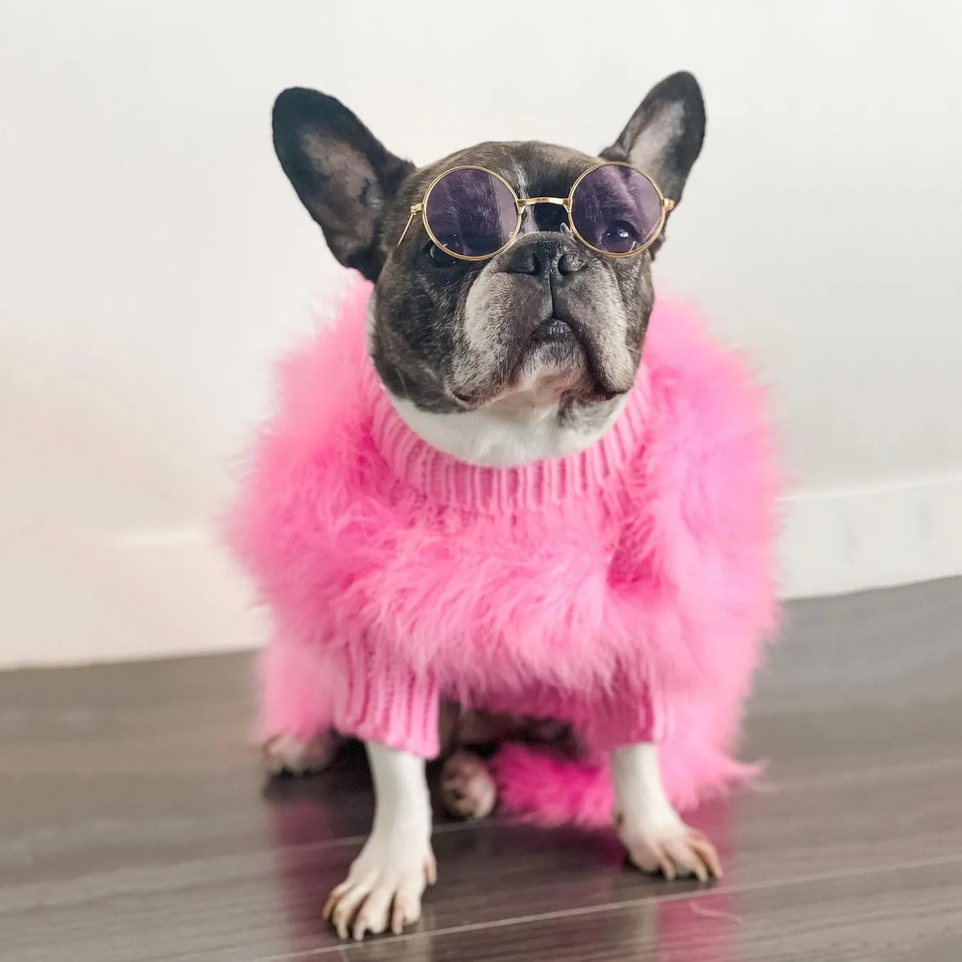 PlumePup Luxury Feather Frenchie Sweater Plush Comfort for Your Stylish Pup