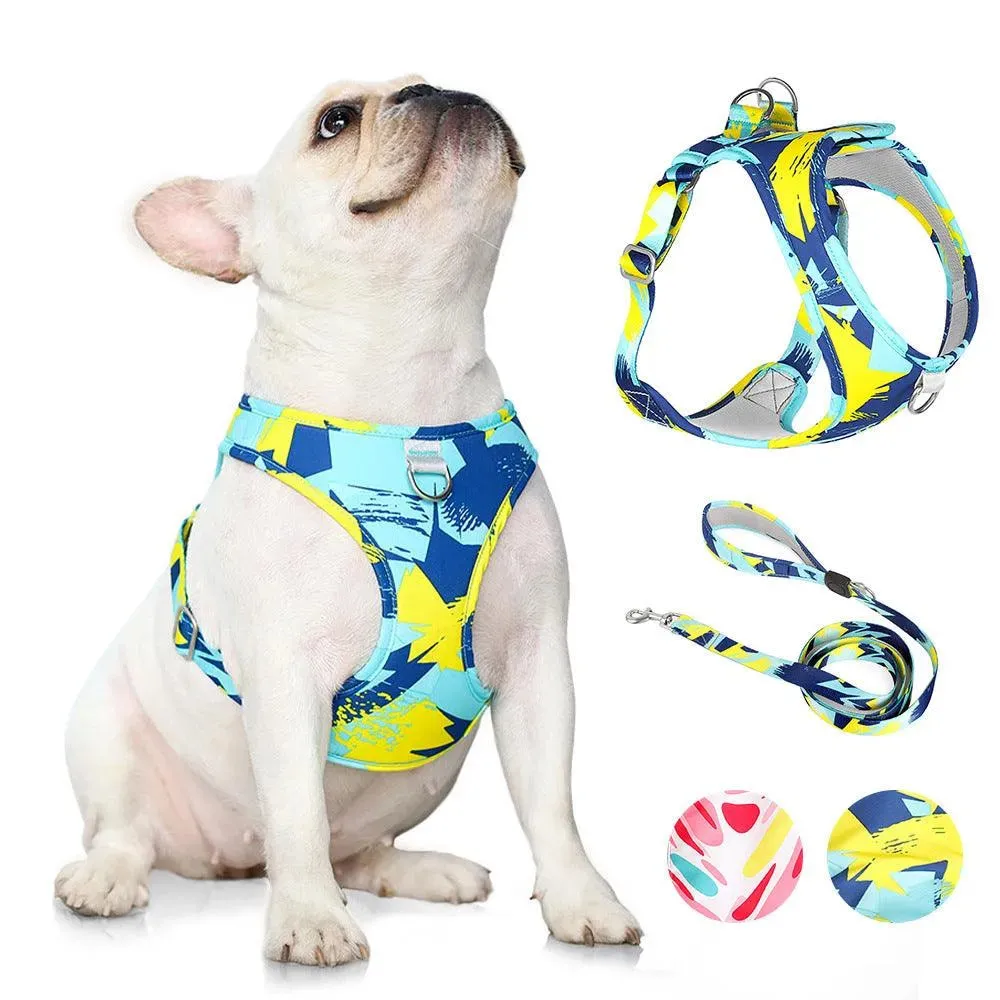 Printed Pet Chest Strap and Leash for Small Medium Dogs