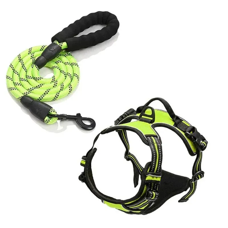 Printed Pet Chest Strap and Leash for Small Medium Dogs