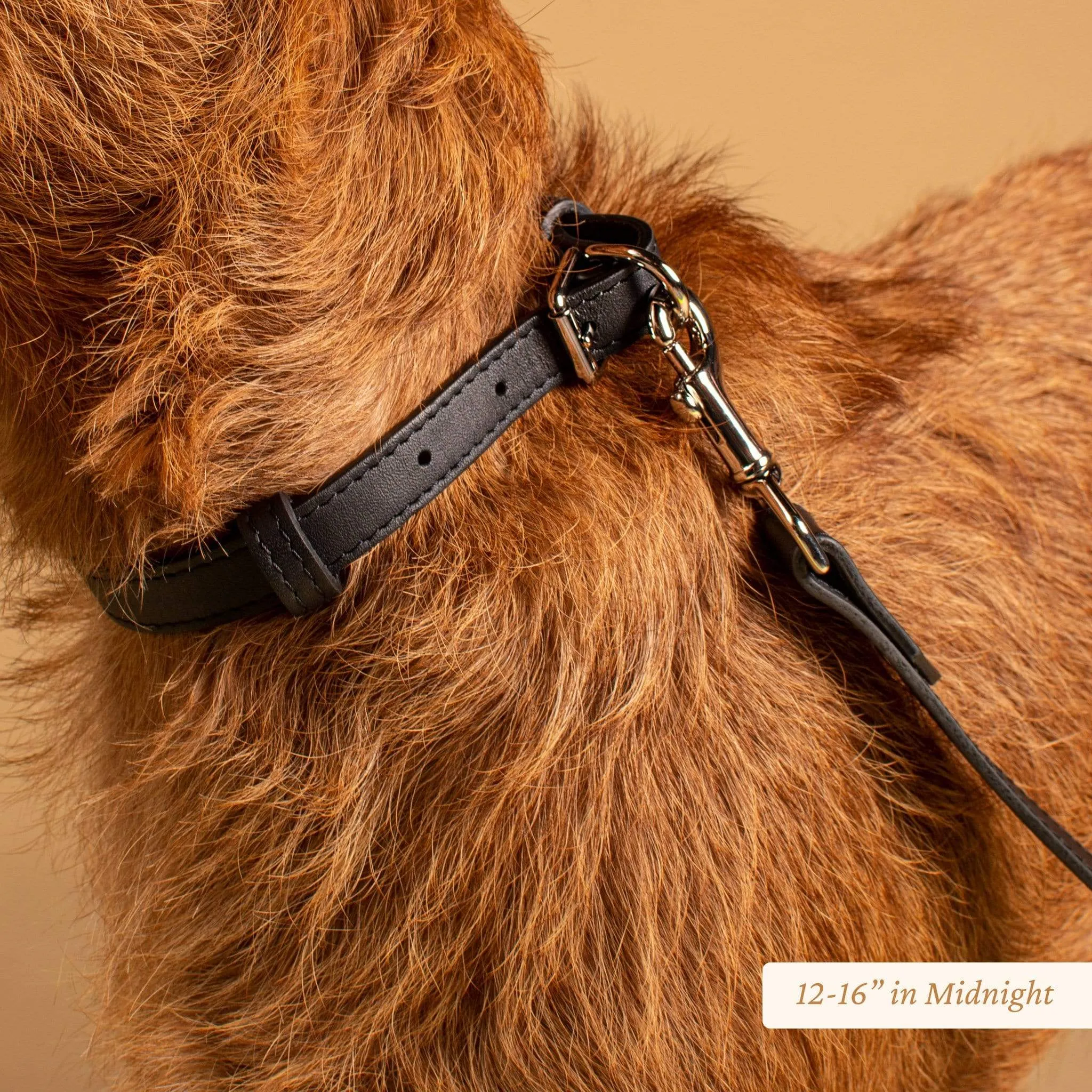 Signature Leather Dog Collar