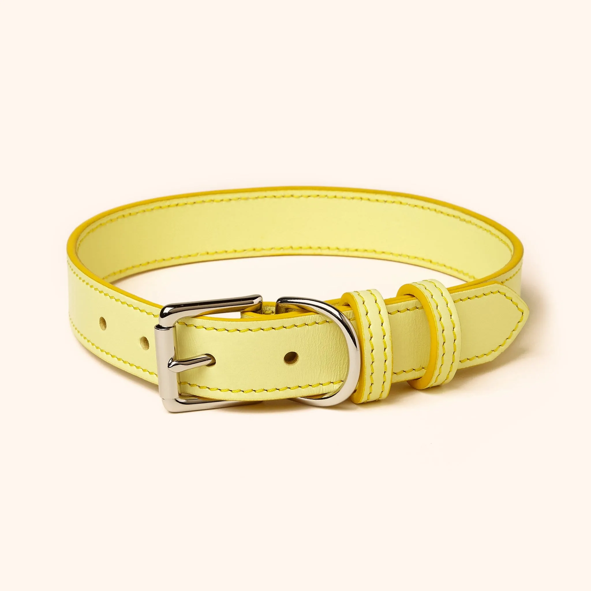 Signature Leather Dog Collar