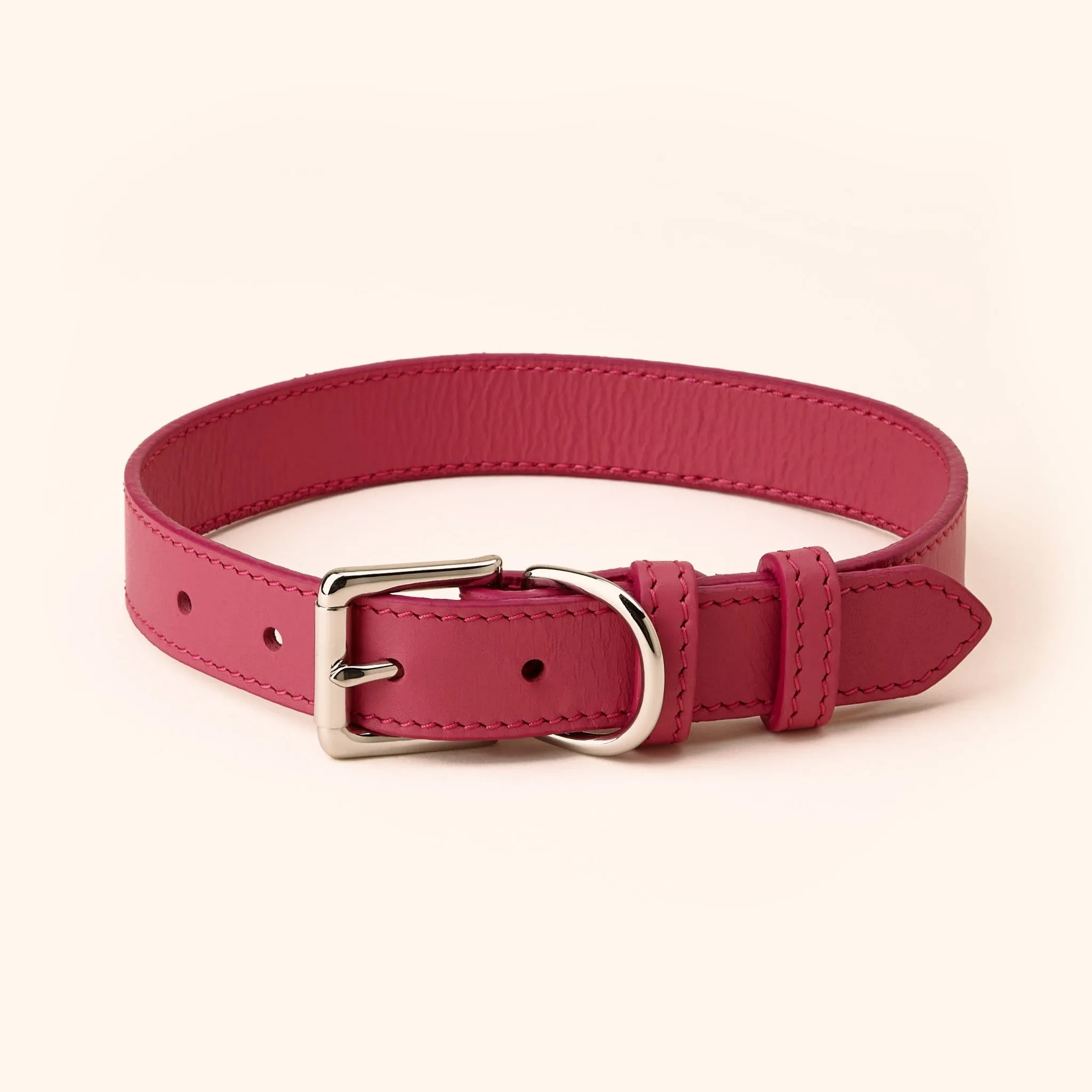 Signature Leather Dog Collar