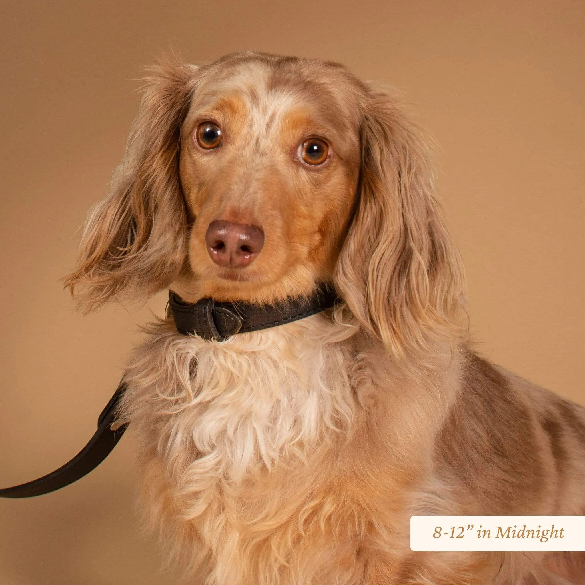 Signature Leather Dog Collar