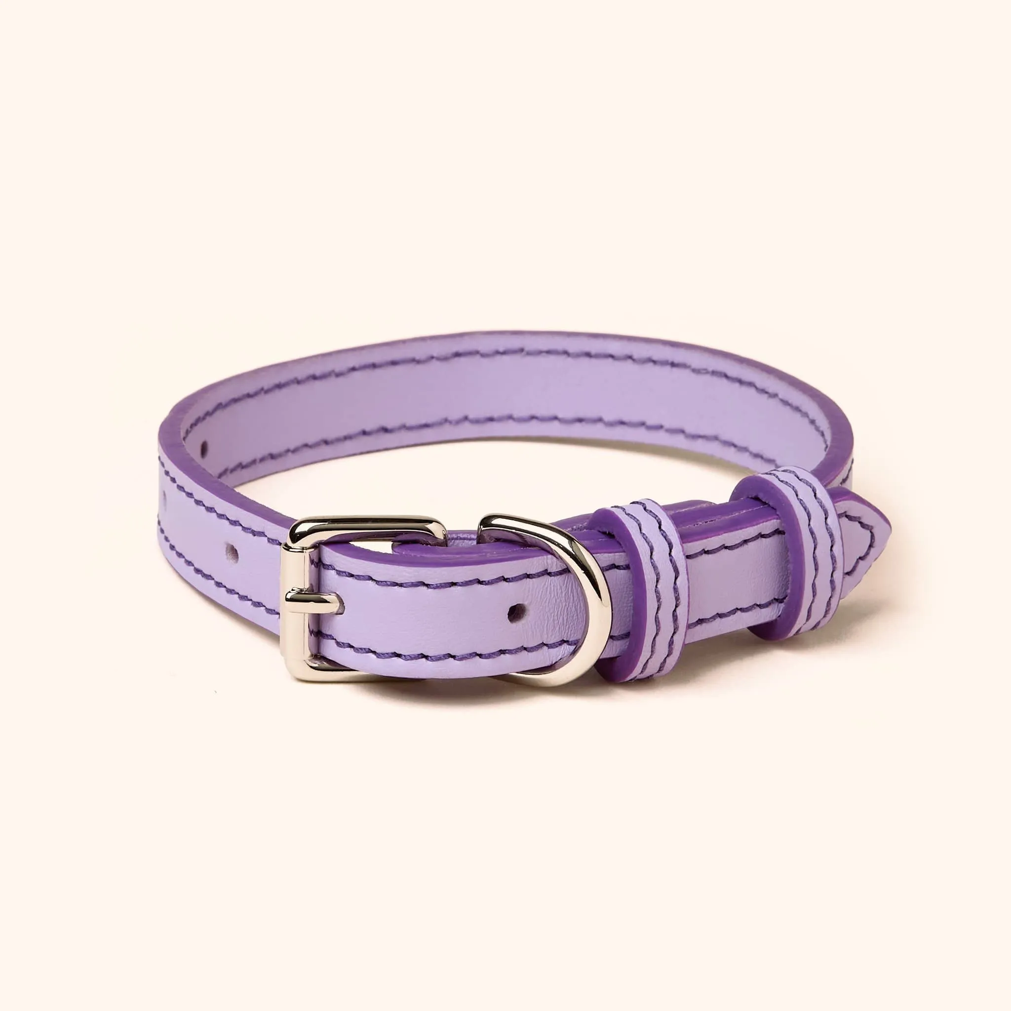 Signature Leather Dog Collar