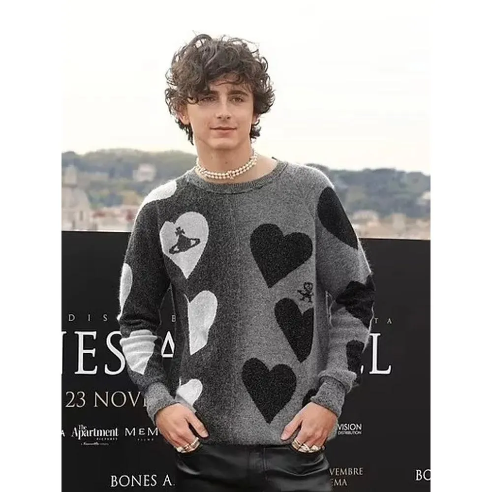 Timothée Chalamet Hearts Sweater