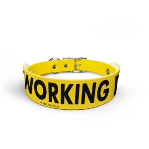 Working Dog (BLOY) - Snappy Collar & Top Set